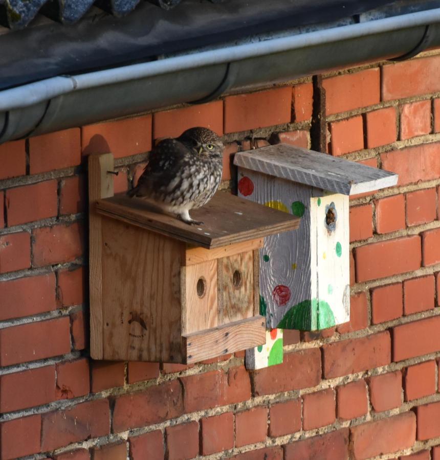 Kreativhof Lehmberg Hamminkeln Exterior foto